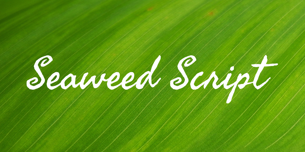 Font Seaweed Script