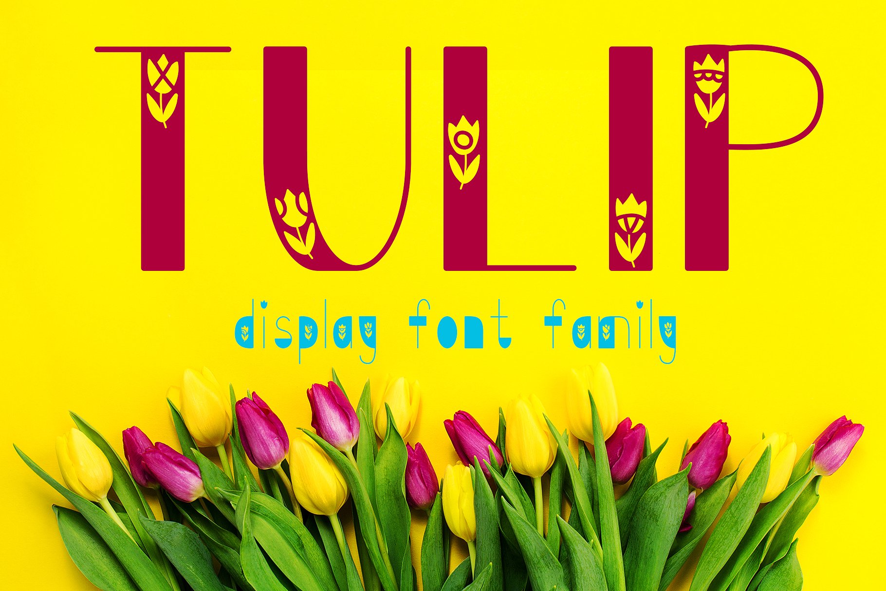 Font Tulip