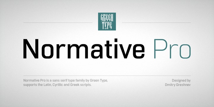 Font Normative Pro
