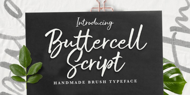 Font Buttercell Script