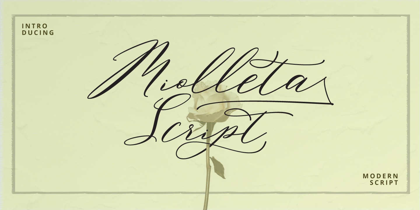 Font Miolleta Script