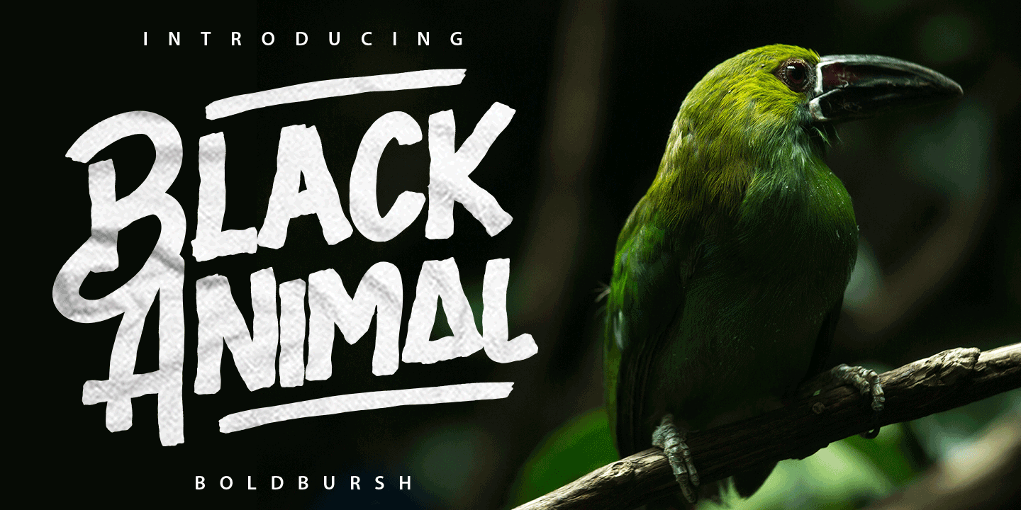 Font Black Animal
