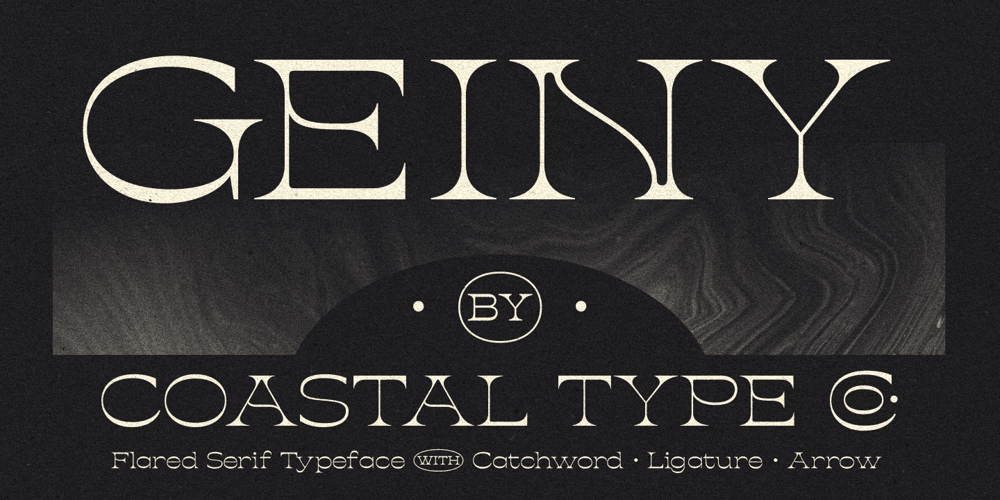 Font Geiny: descargar e instalar en el sitio web