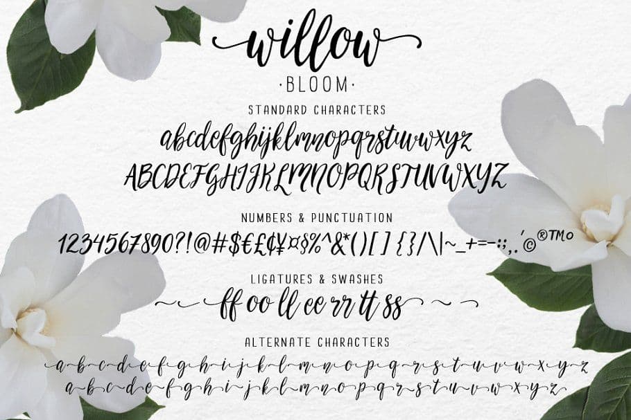 Font Willow