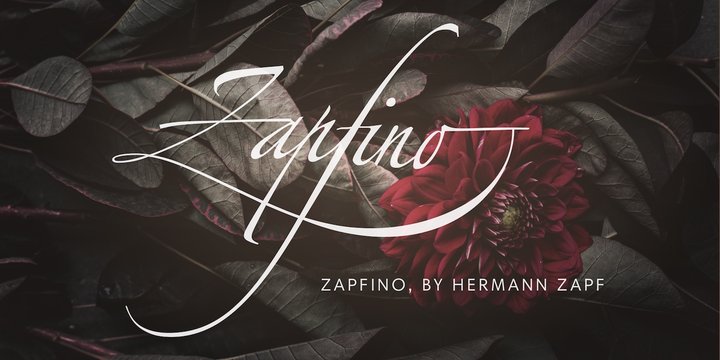 Font Zapfino Extra