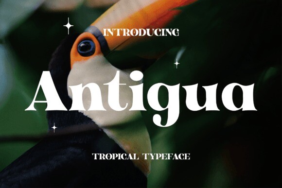 Font Antigua