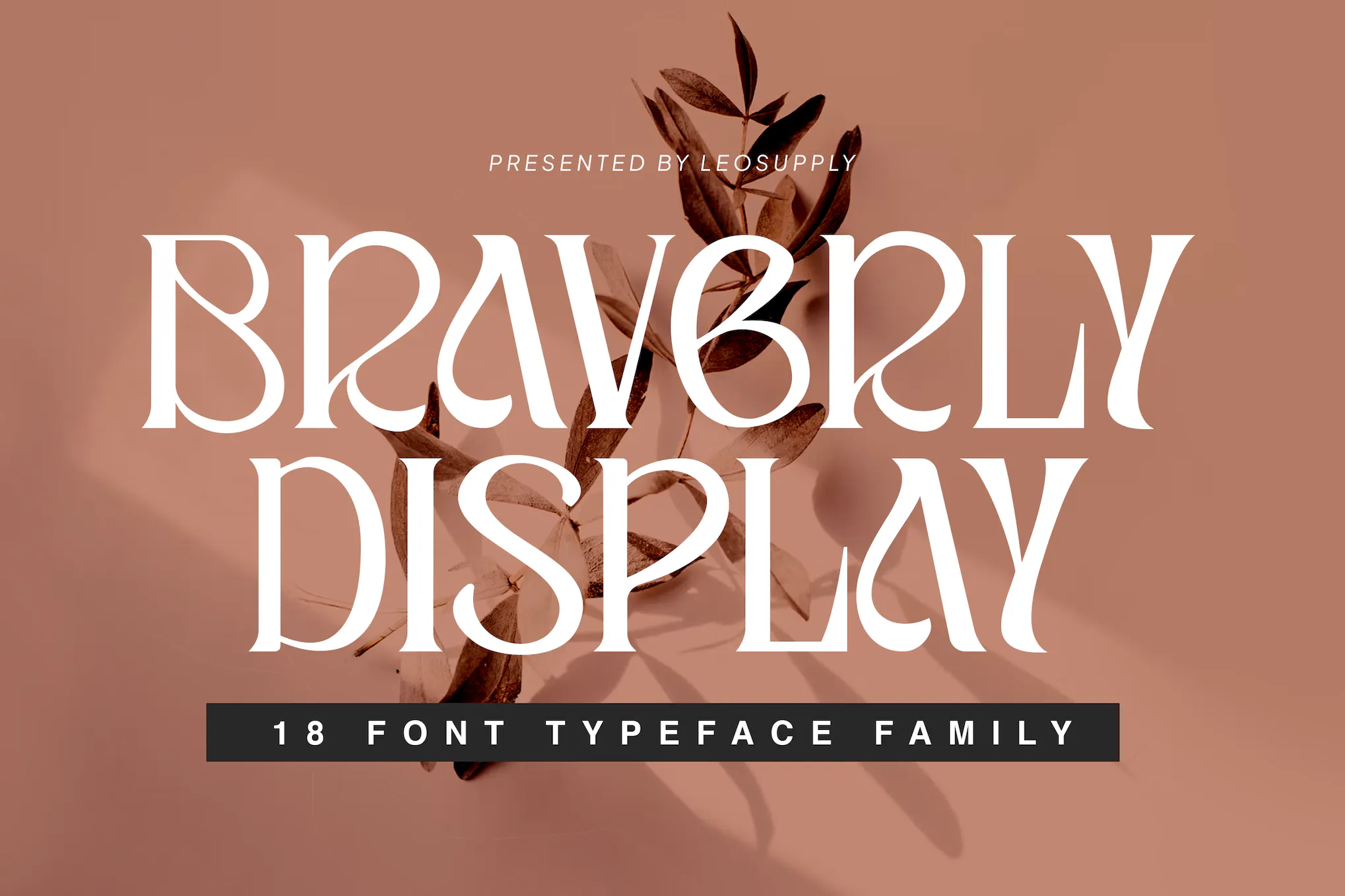 Font Braverly Display