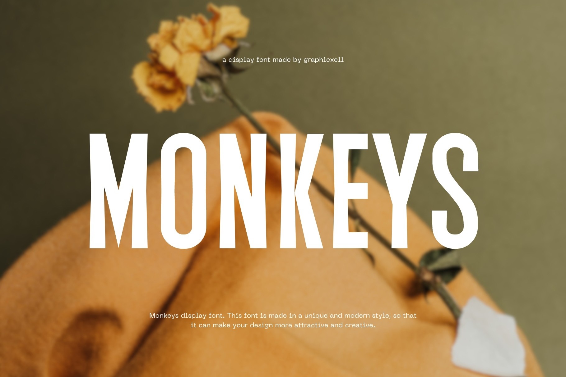 Font Monkeys