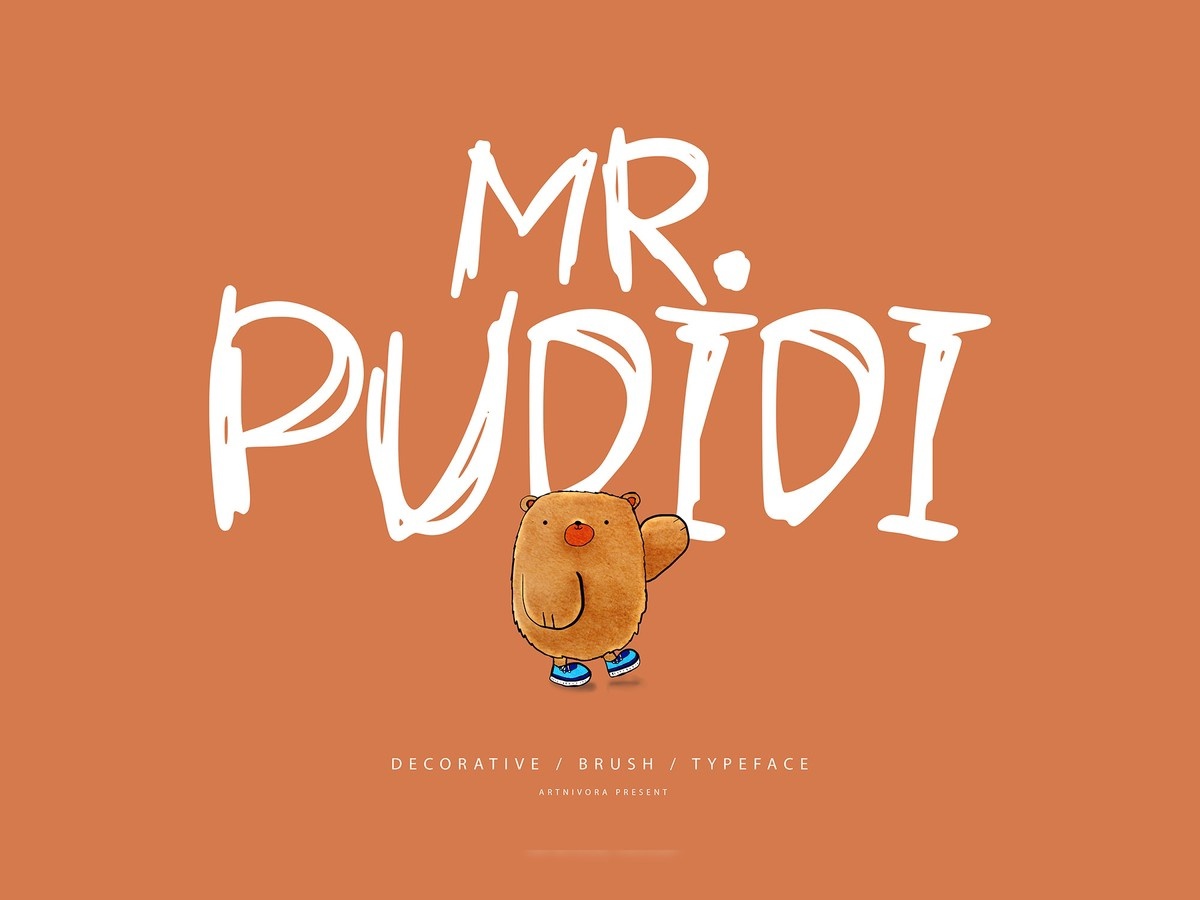 Mr. Pudidi