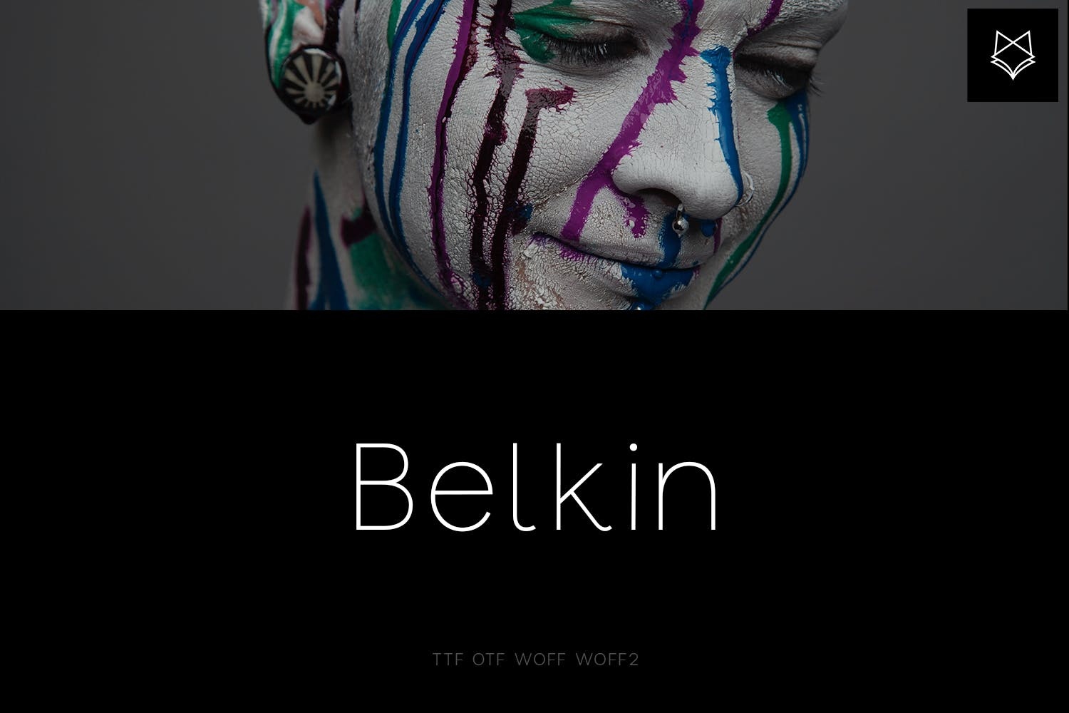 Font Belkin