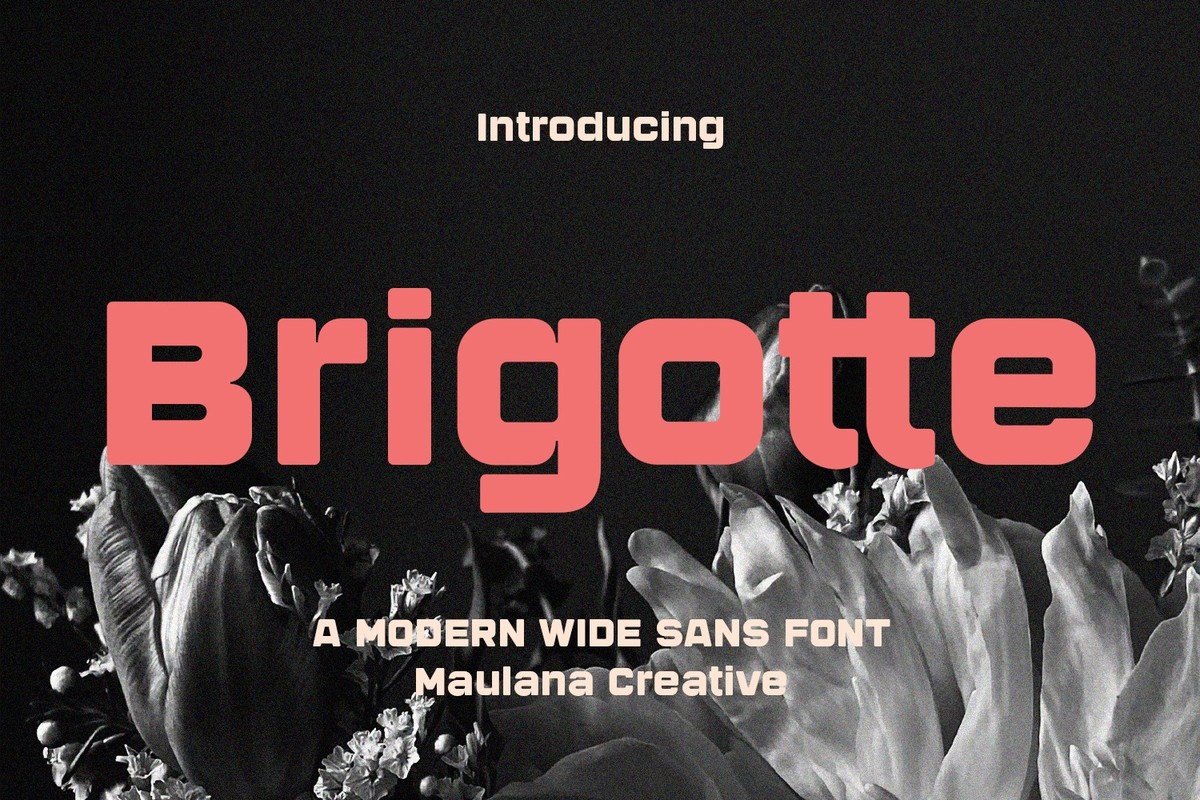 Font Brigotte