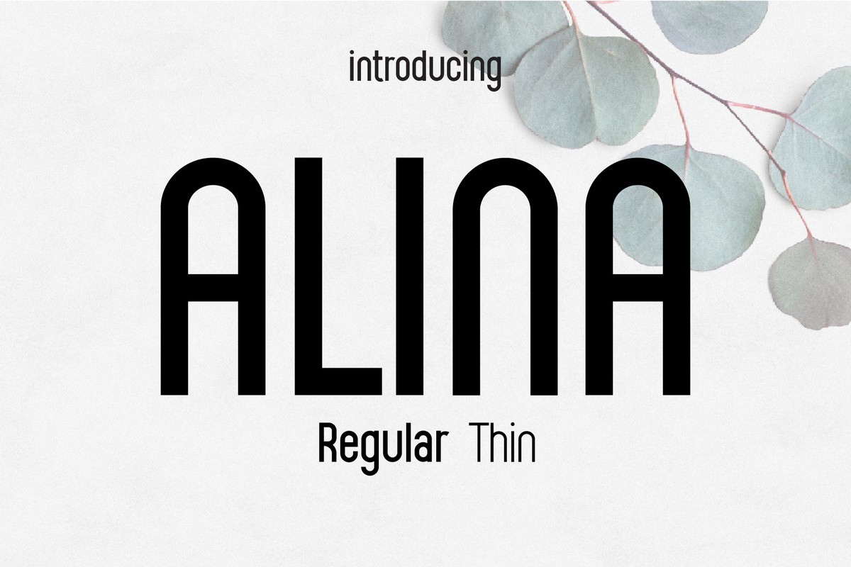 Font Alina