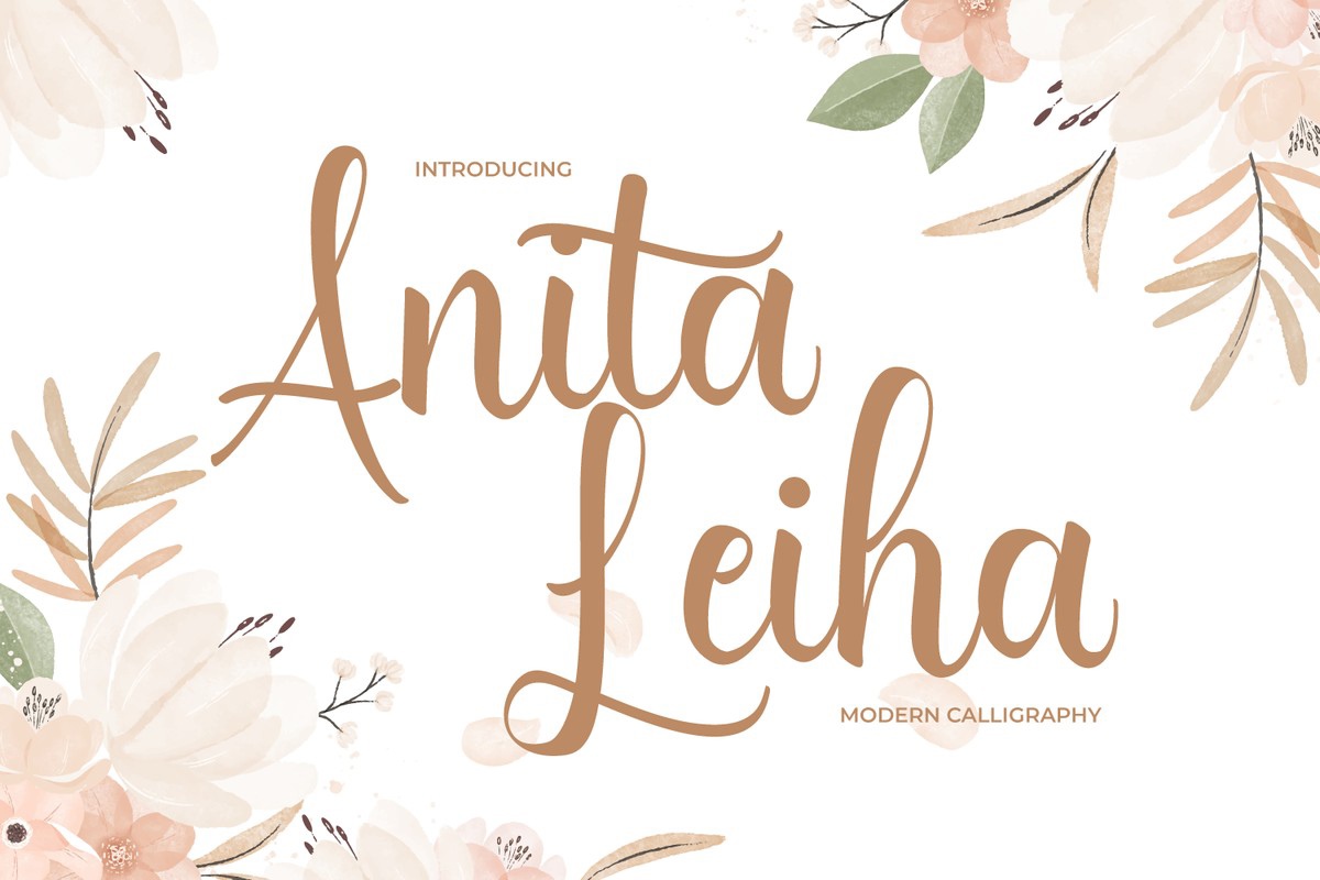 Font Anita Leiha