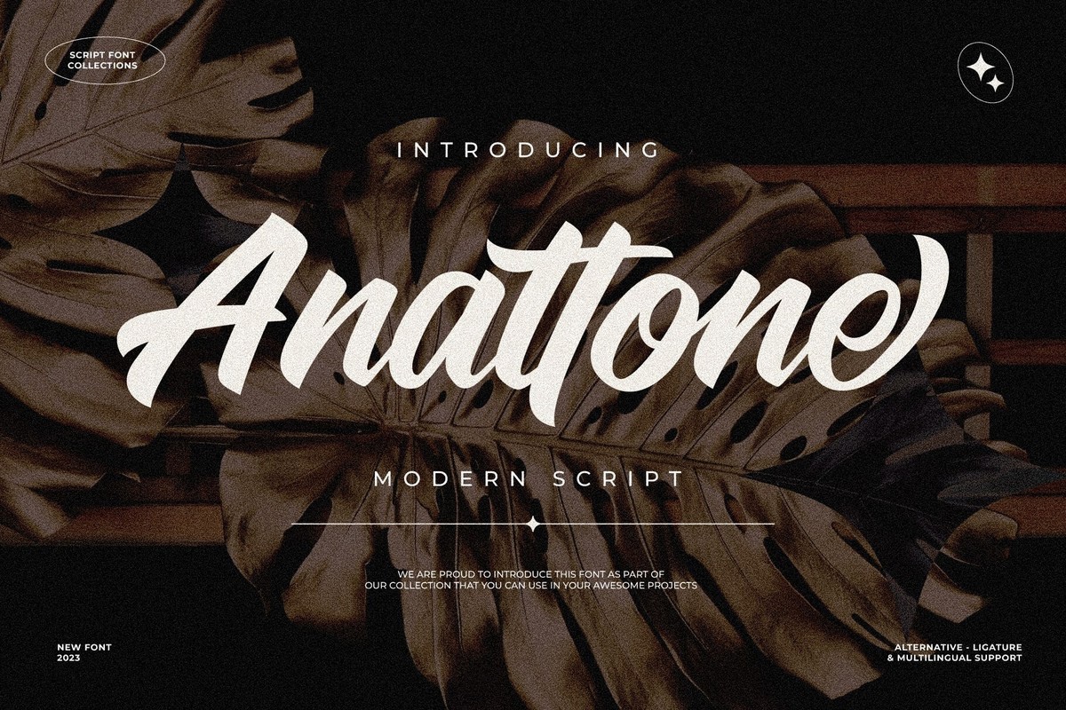 Font Anattone Script