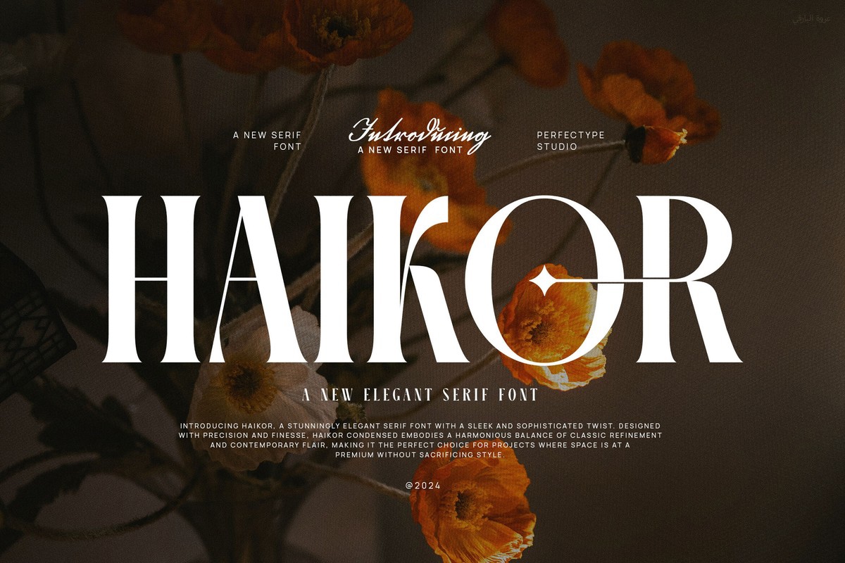 Font Haikor