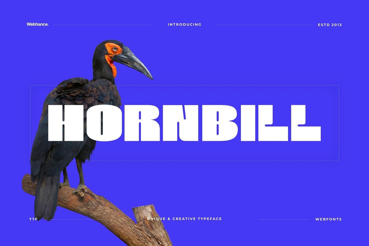 Font Hornbill Display Bold