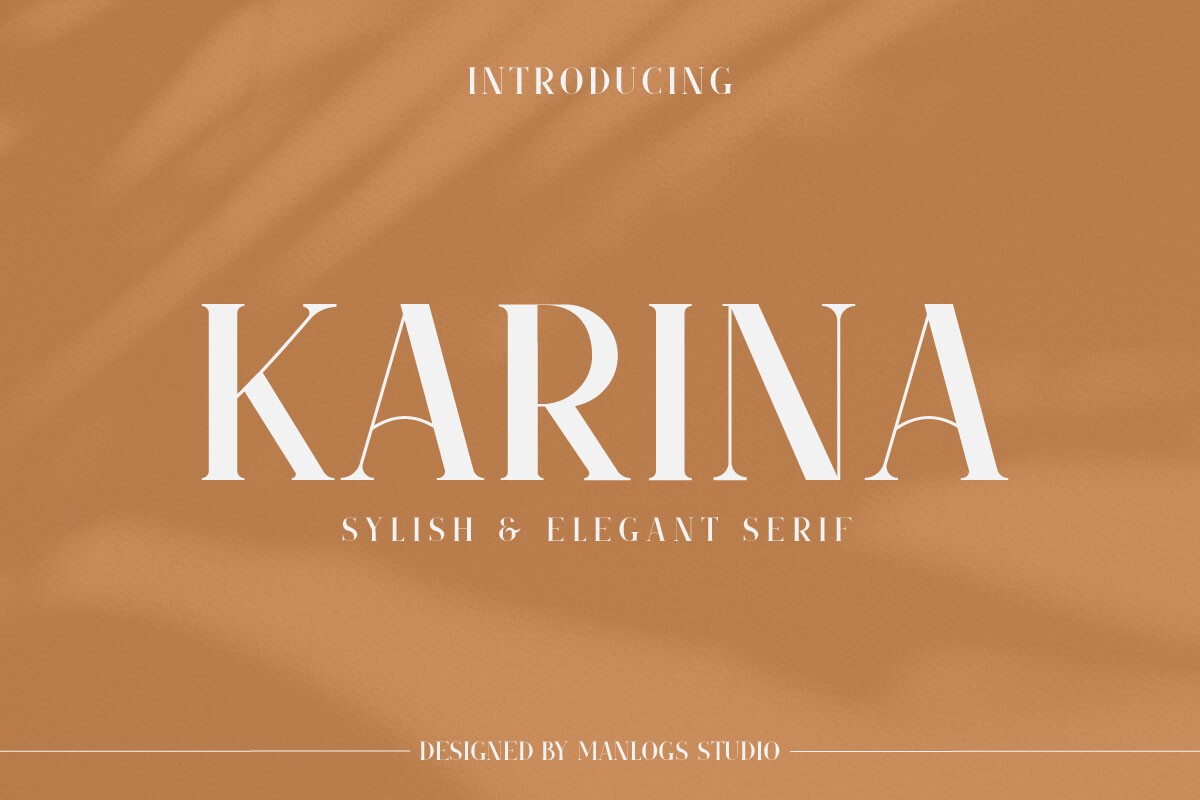 Font Karina