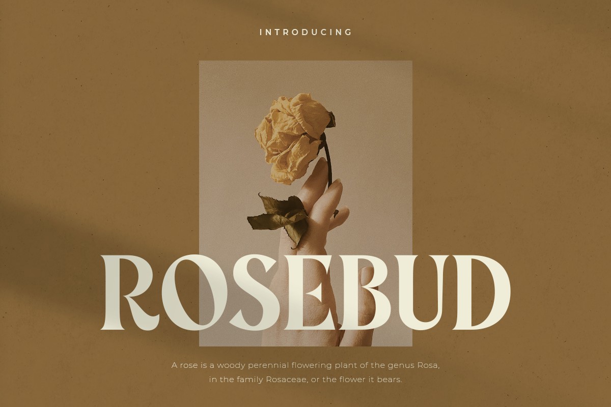 Font Rosebud