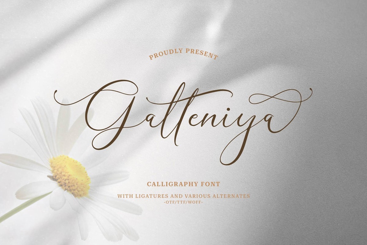 Font Galteniya