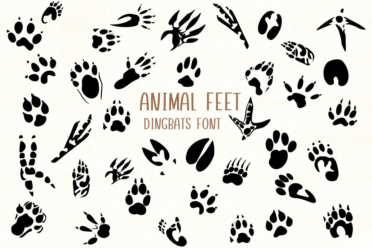 Font Animal Feet