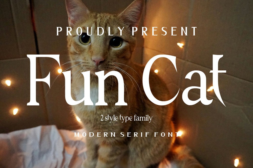 Font Fun Cat