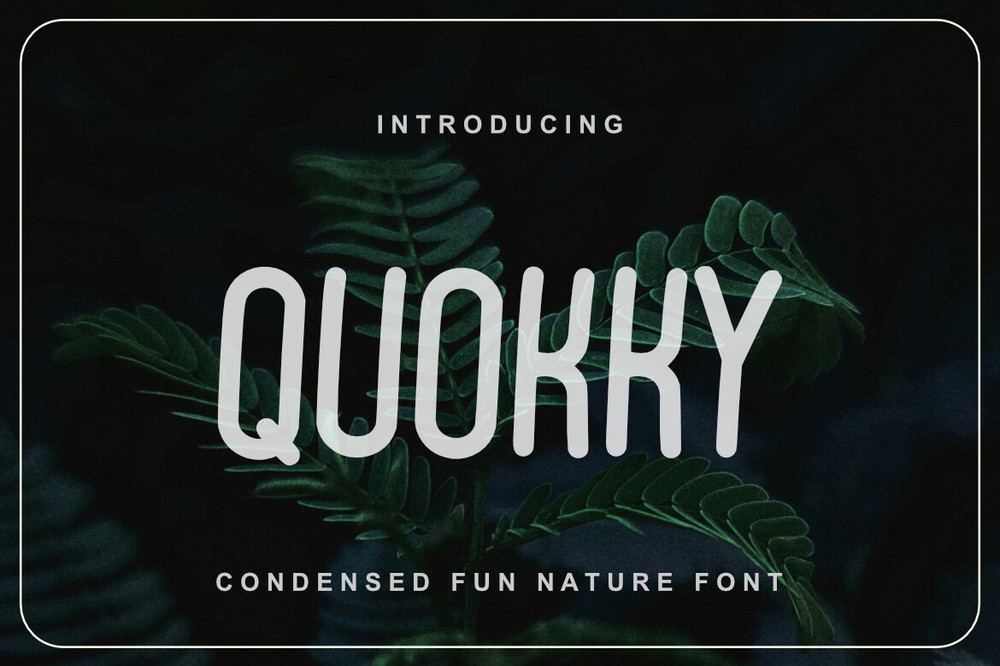 Font Quokky