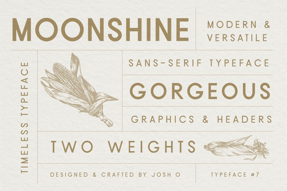 Font Moonshine