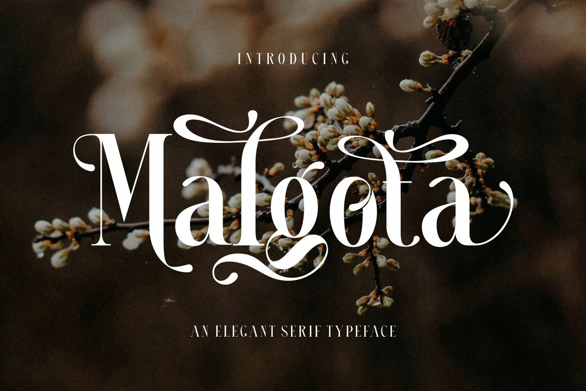 Font Malgota