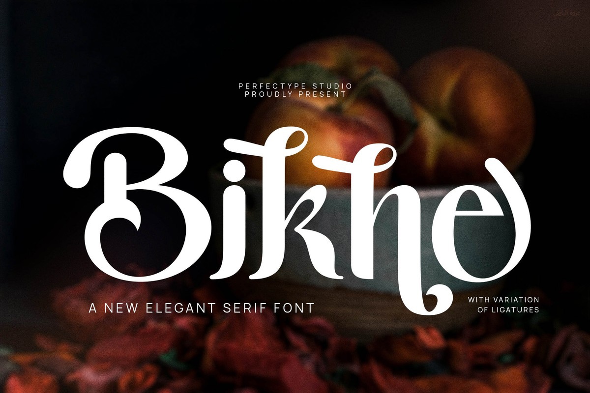 Font Bikne