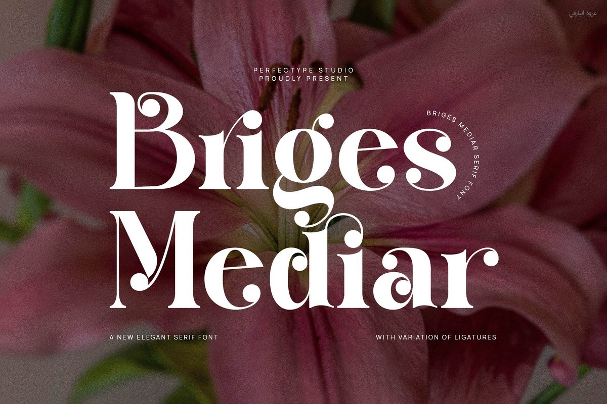 Briges Mediar