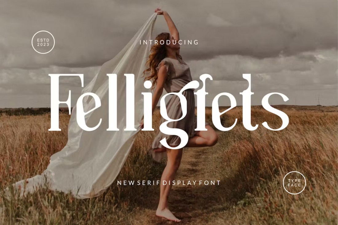 Font Felligfets