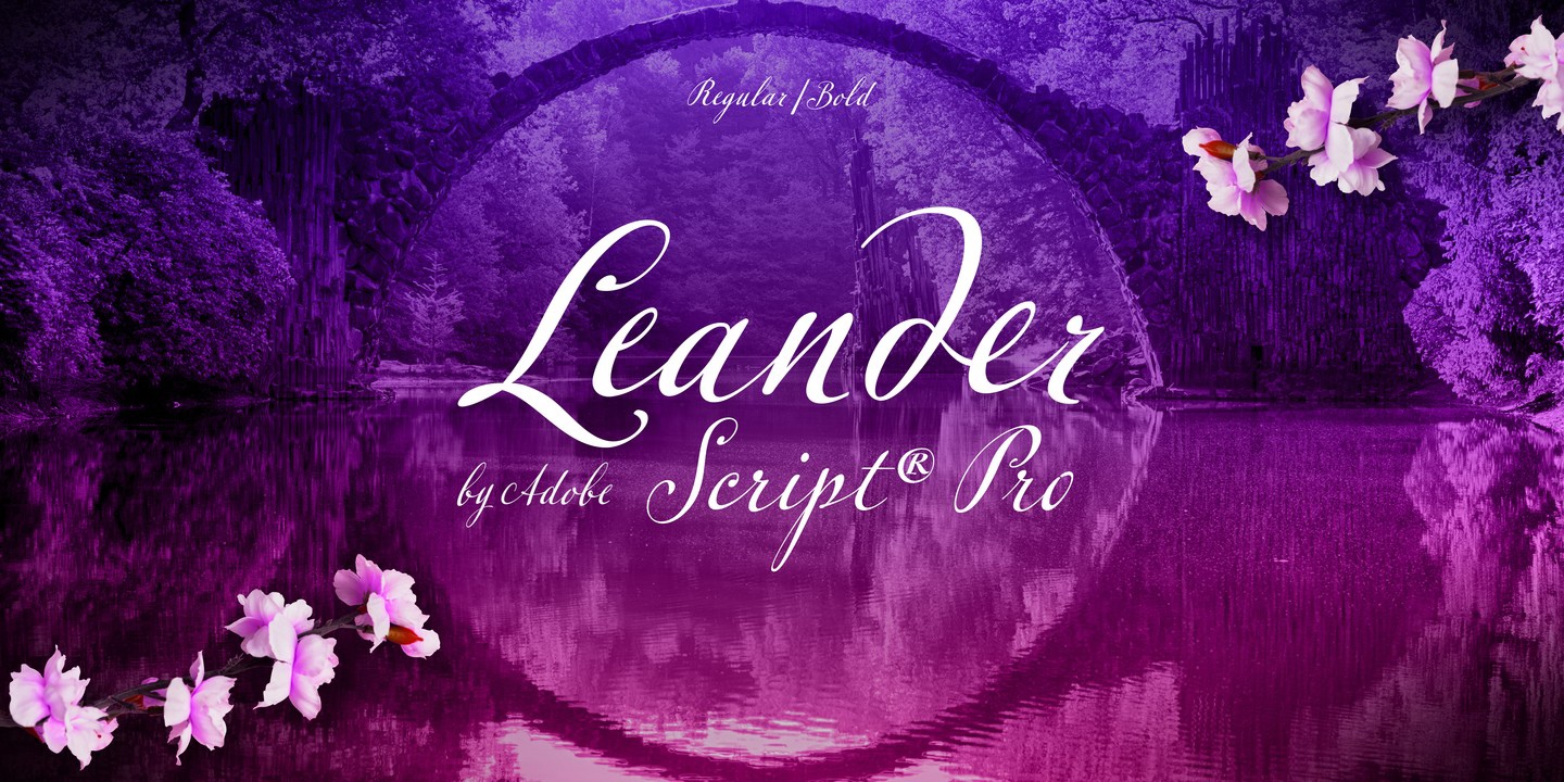 Leander Script Pro