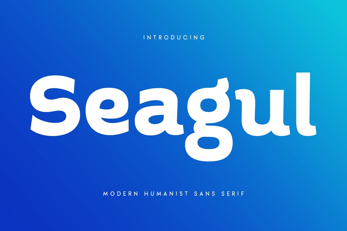 Font Seagul