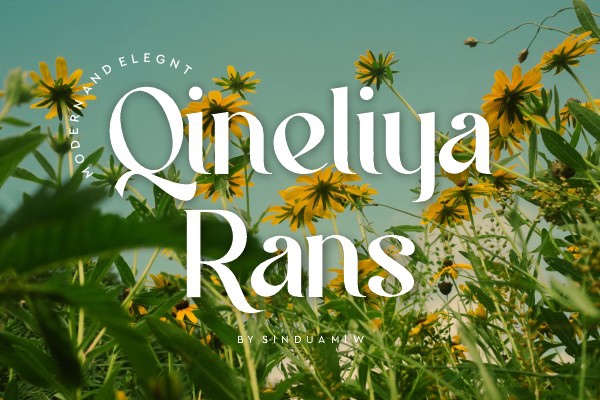 Font Qineliya Rans