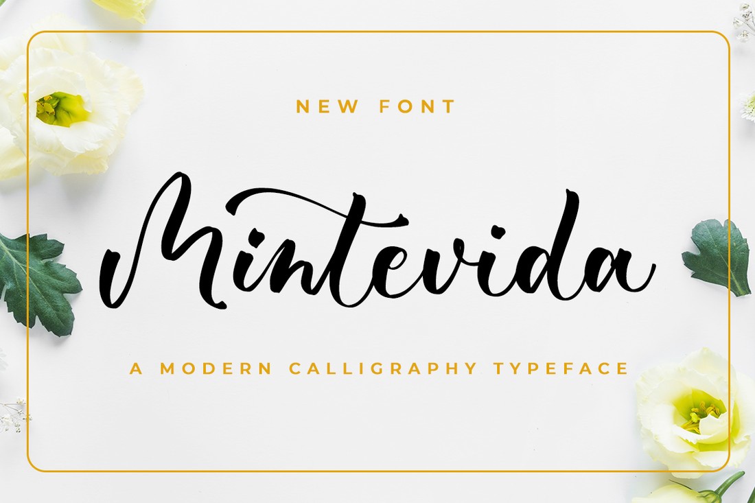 Font Mintevida